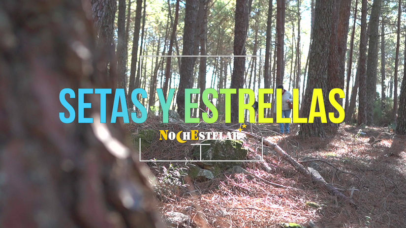 Setas y Estrellas